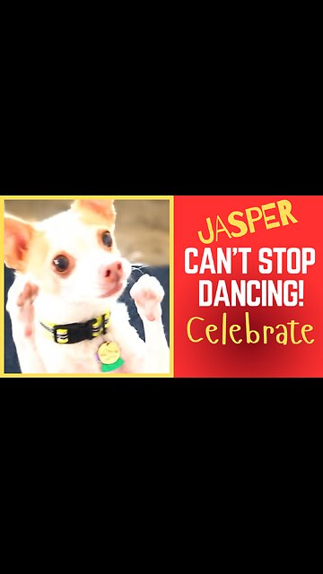 Why is Jasper so HAPPY?