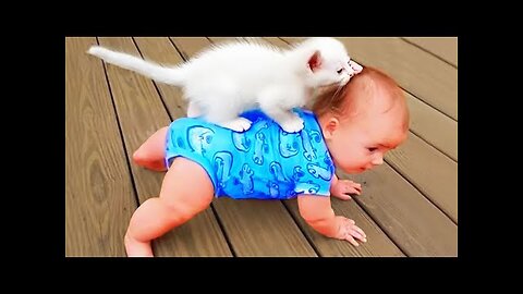 What Happned When Cute Cat Takes Care of Baby