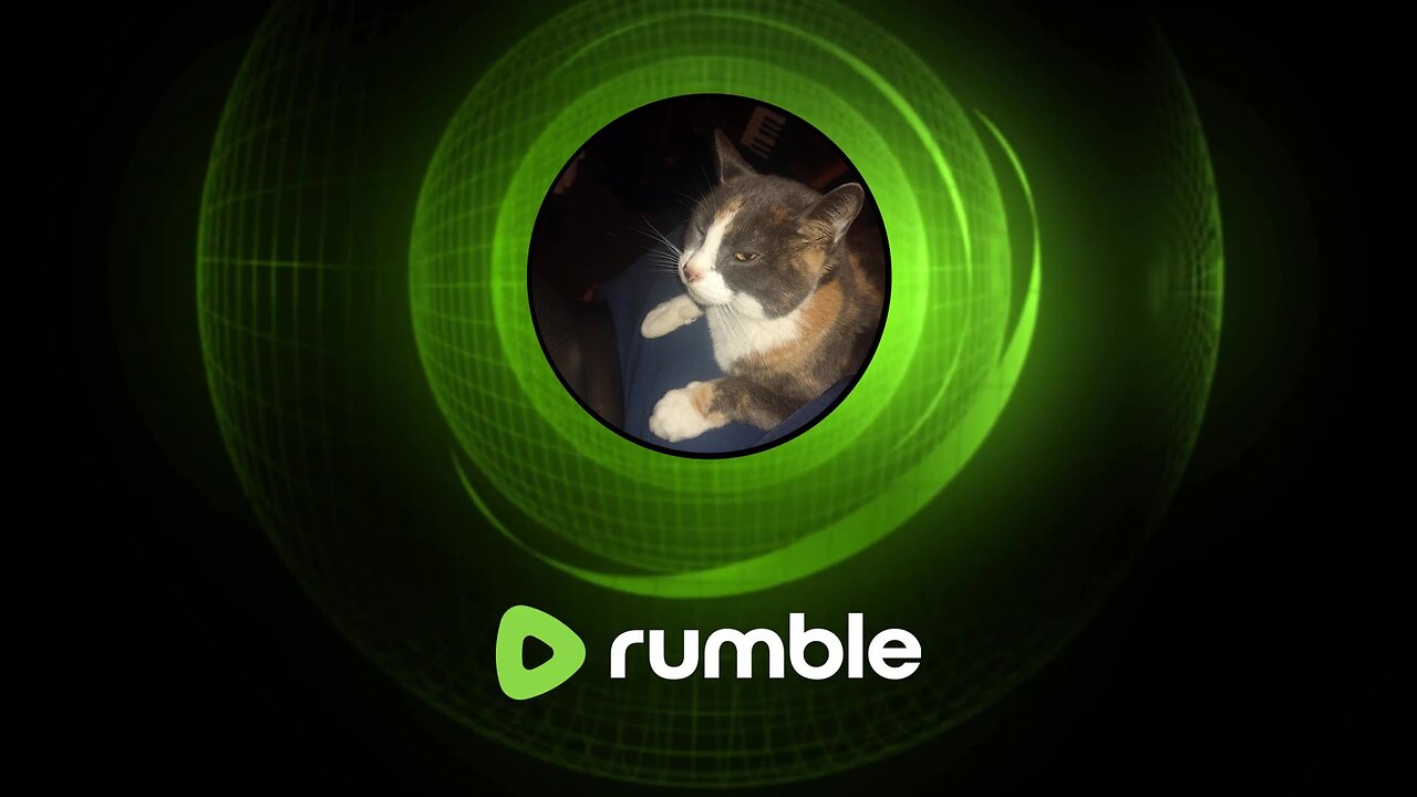 Cat Rumble cat cat