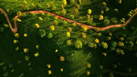 Heaven on Earth: 4K HDR 60 FPS Dolby Vision [2025]