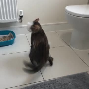 Why is it dark now 🤣