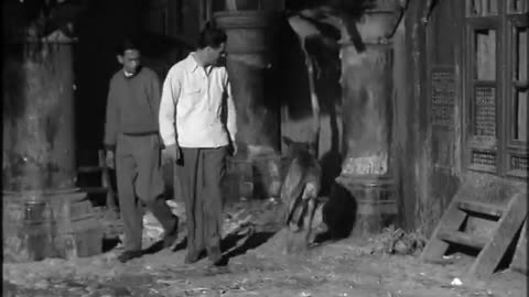 Danger Man season 1 1960-1962 s1d4e27