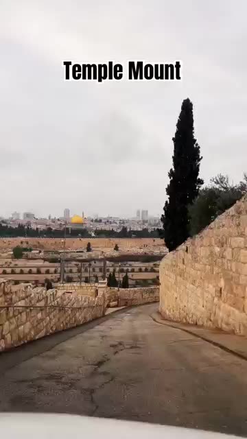 Garden of Gethsemane From Mount of Olives 😇✝️