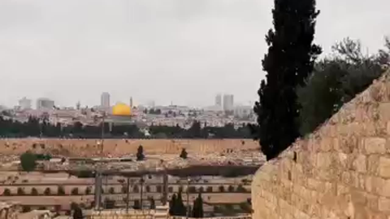 Garden of Gethsemane From Mount of Olives 😇✝️