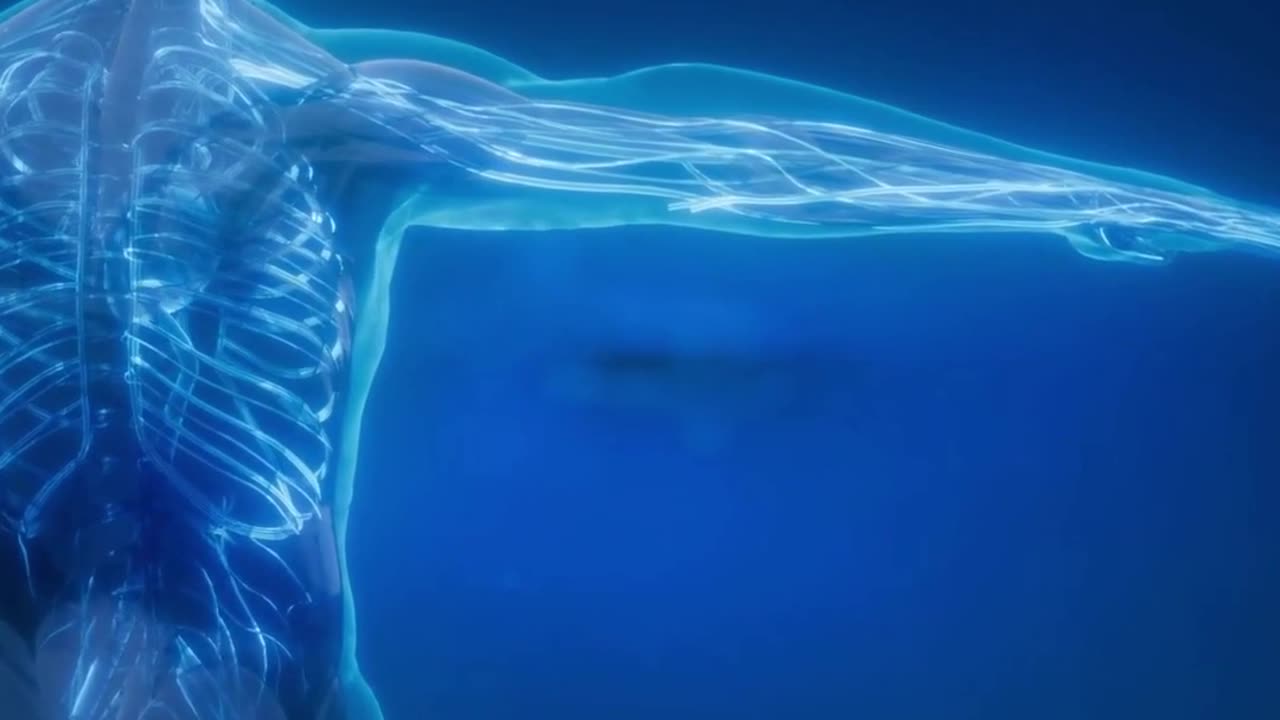 Why Do Adults Find Swimming Difficult? Solutions to Swim Better
