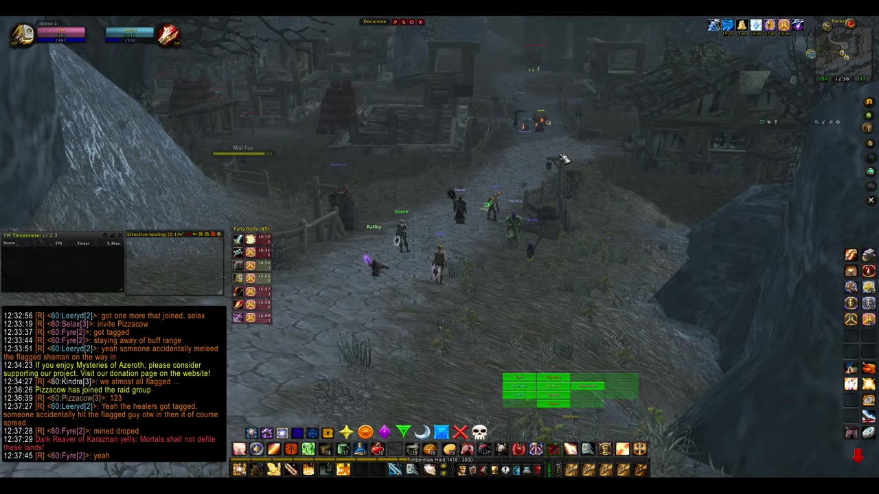 Turtle wow - PUG Dark Reaver - world boss - 12 February - Paladin POV