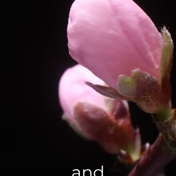 Embrace Your Day: Start With A Positive Outlook