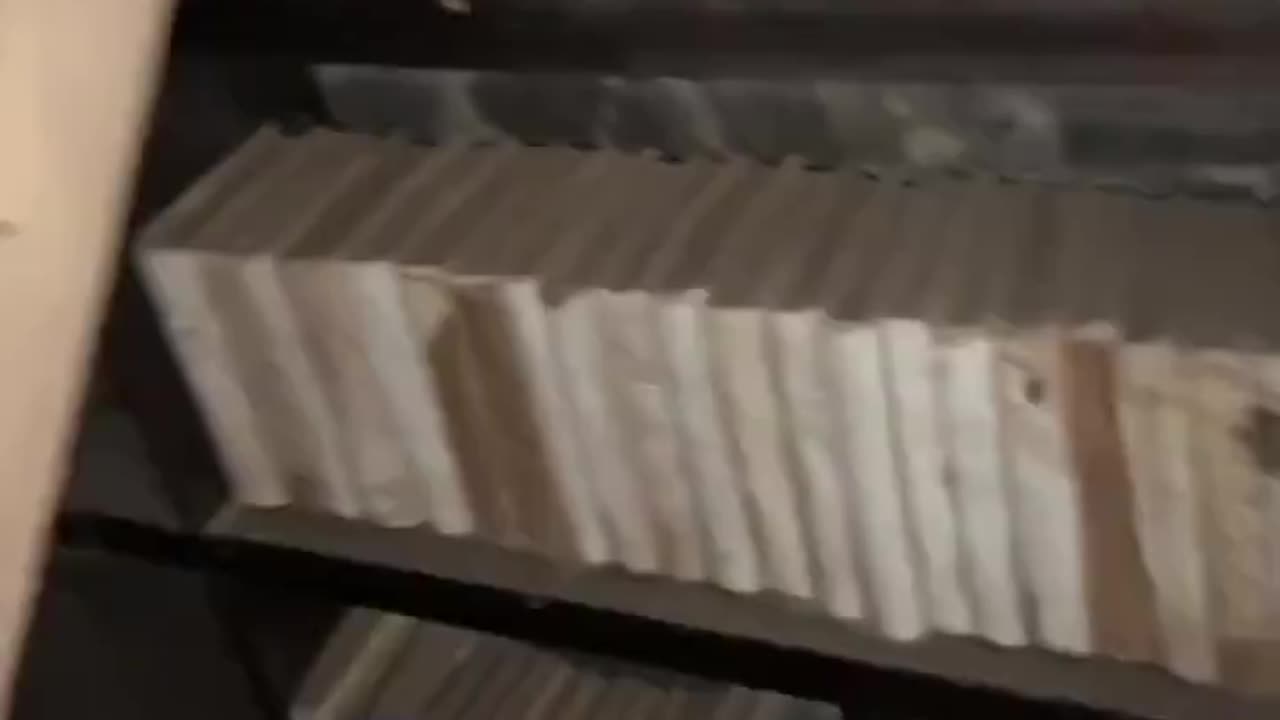 A terrifying clip in which some among us see the future of the books.