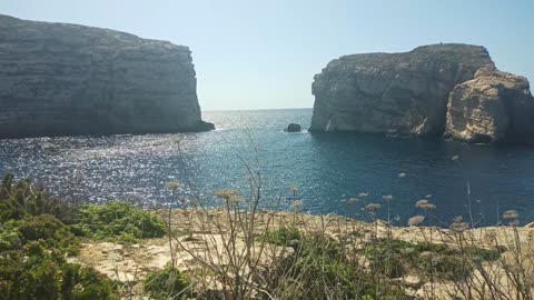 Grüne Gozo Eidechse an Dwejra Bay 15.05.2024