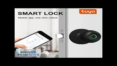 Tuya Bluetooth Spherical Smart Fingerprint Lock Smart Door Knob Digital Electronic Door Review