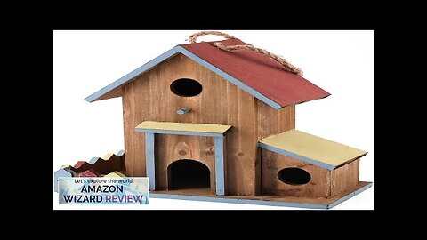 2in1Bird House&Bird FeederBird Houses for Outside3 Hole Bird House Review