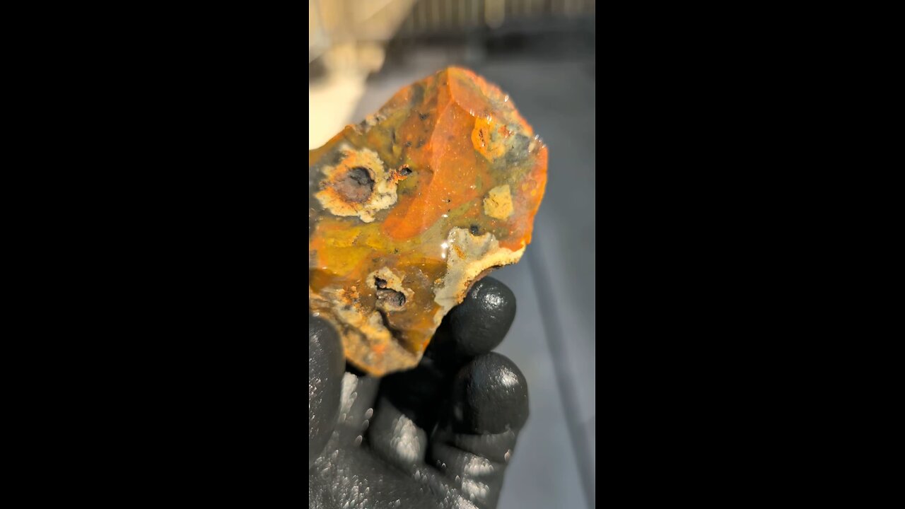 Holy Jasper!