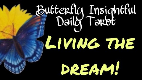 Butterfly Insightful Daily Tarot - live the dream! Cat alert at the end!