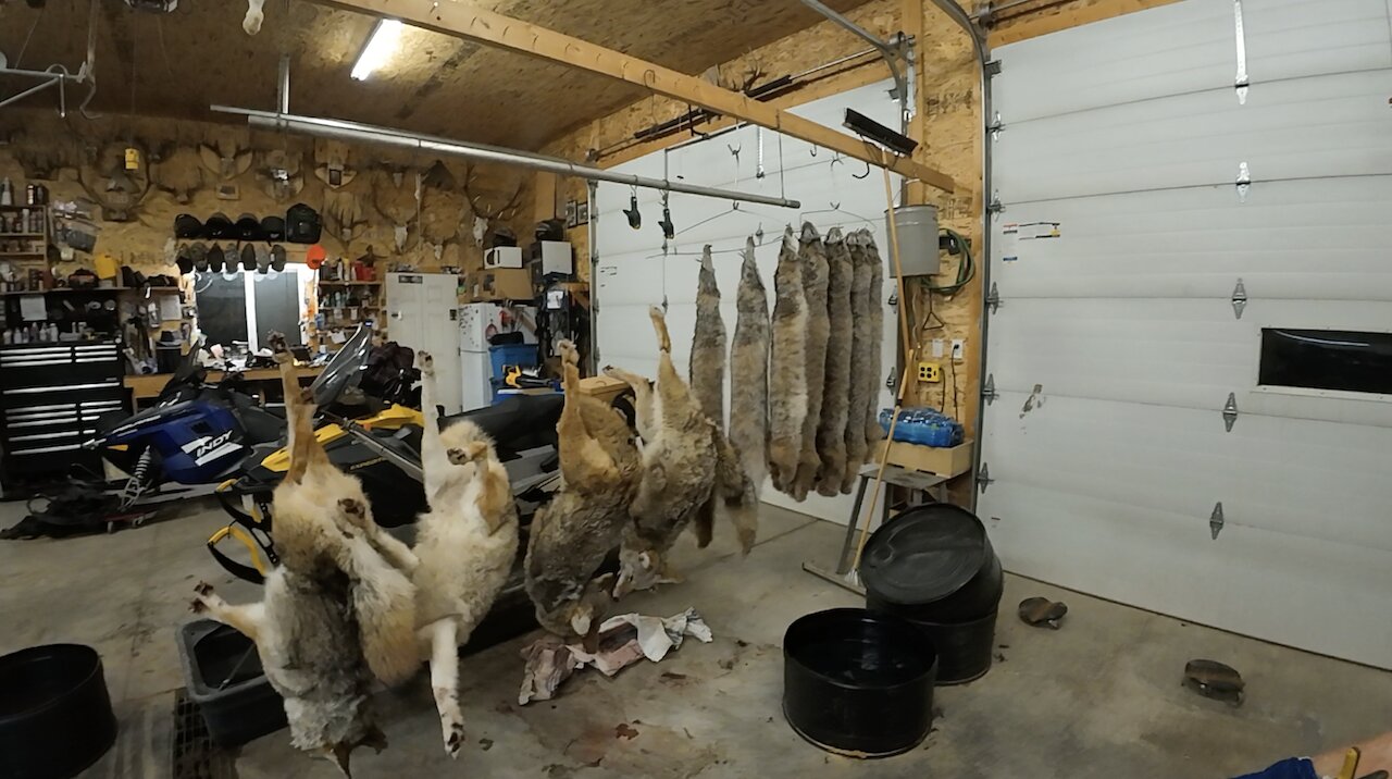 Trapping 2025 Feb 15th-March 4th