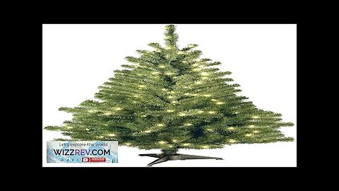 National Tree Company Pre-Lit Artificial Mini Christmas Tree Green Kincaid Spruce White Review