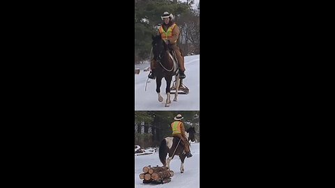 Avi helping with firewood - 15 Feb 2025