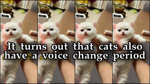 It turns out that cats also have a voice change period