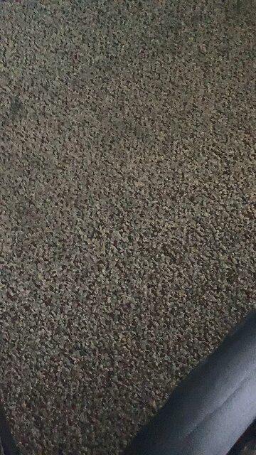 L brain rot Ohio cringe rizz