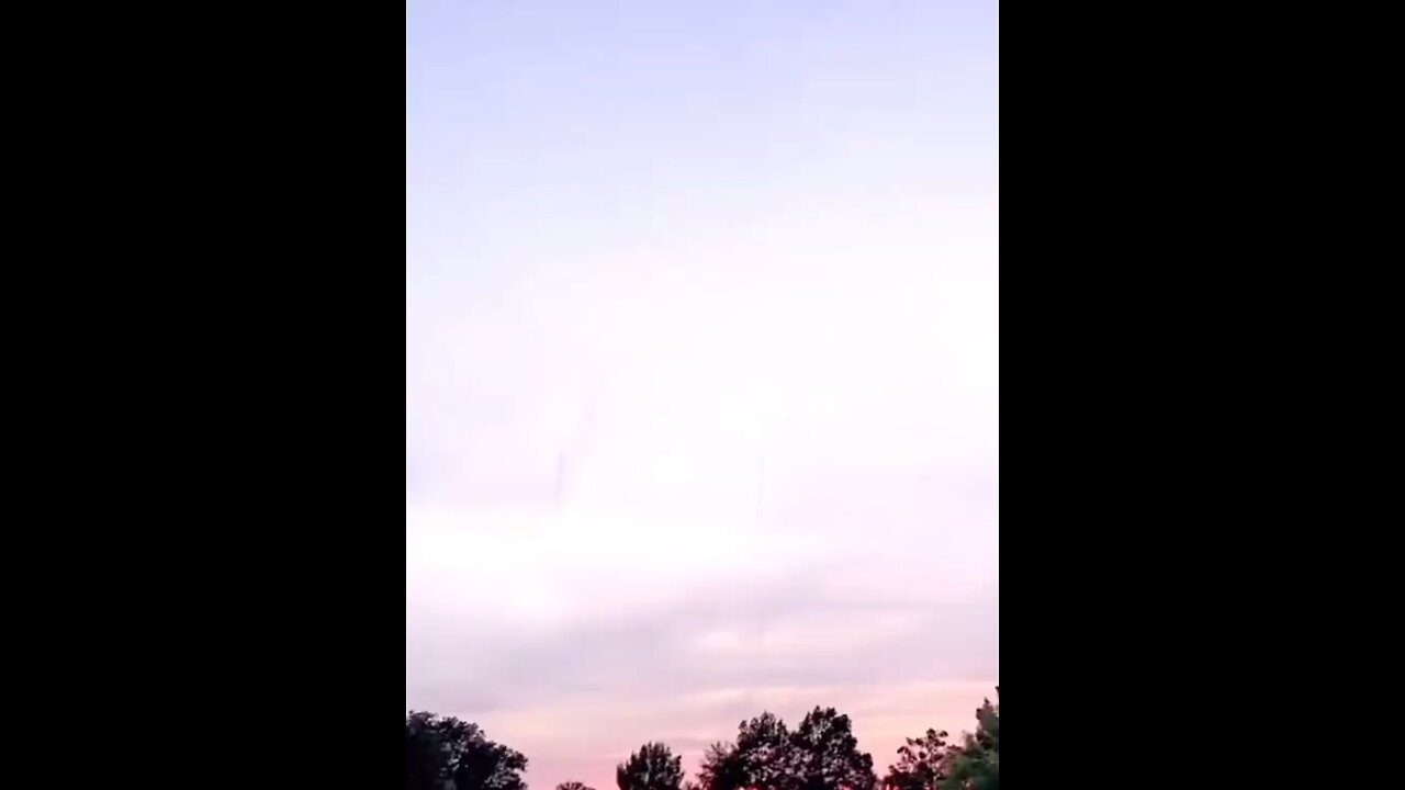 Fake or real?