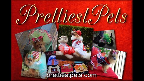 PrettiestPets (Dog Dresses) Promotional Slide Show from 2017