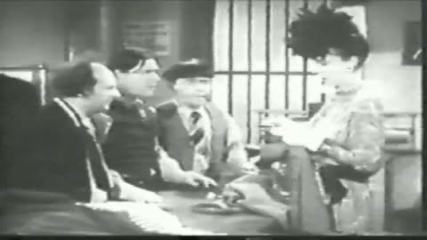 The Three Stooges – New Pants | Classic Comedy Gold | Classic Films