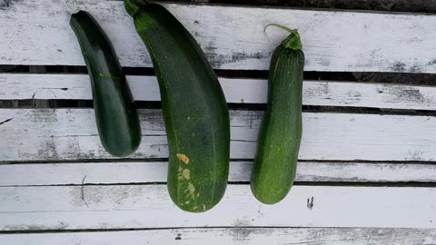 Zucchini I grew