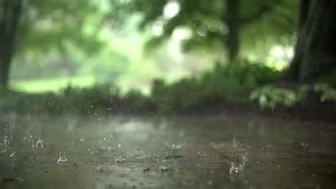 Rain Stock Footage