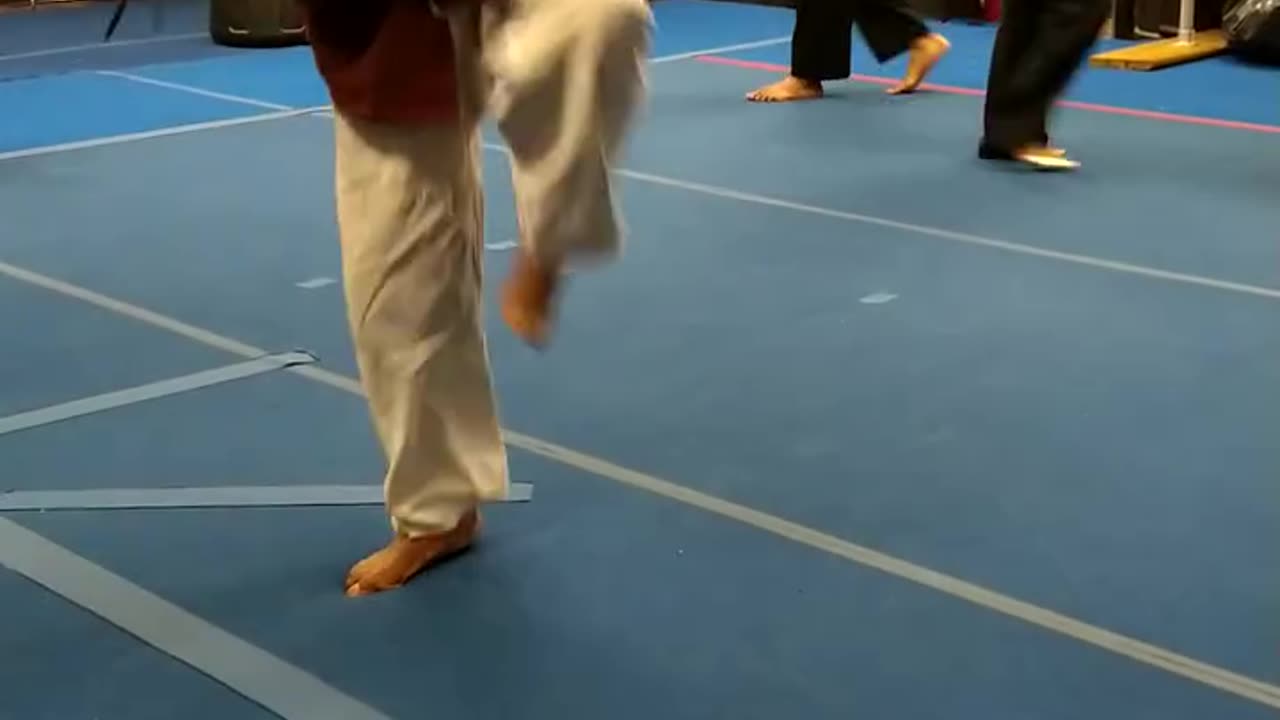 Hapkido Kicking