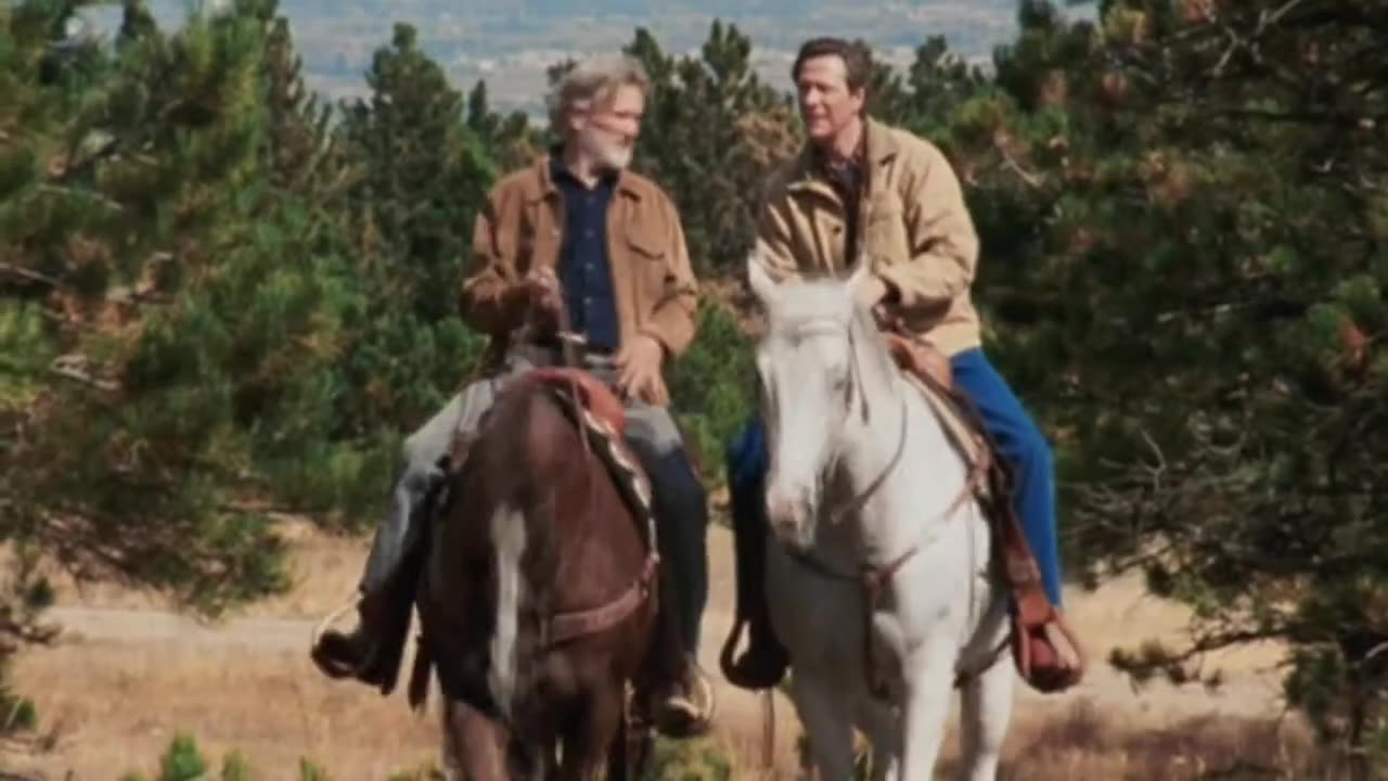 Silver City (2004 film)