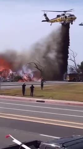 DEI rookie totally misses the target...