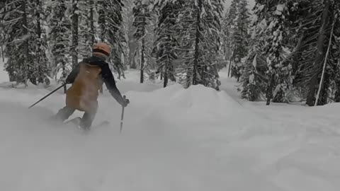 Good Powder Skiing