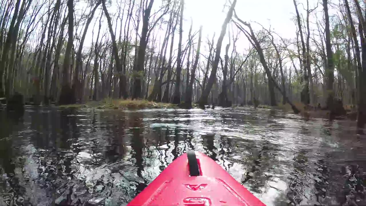 New Year Eve on Black Water