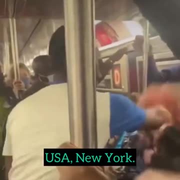 Black man beats white woman on train