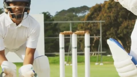 Worldcup Cricket Hero