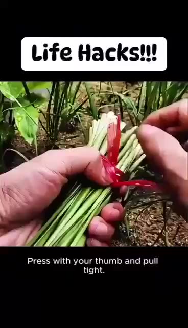 Life Hakes
