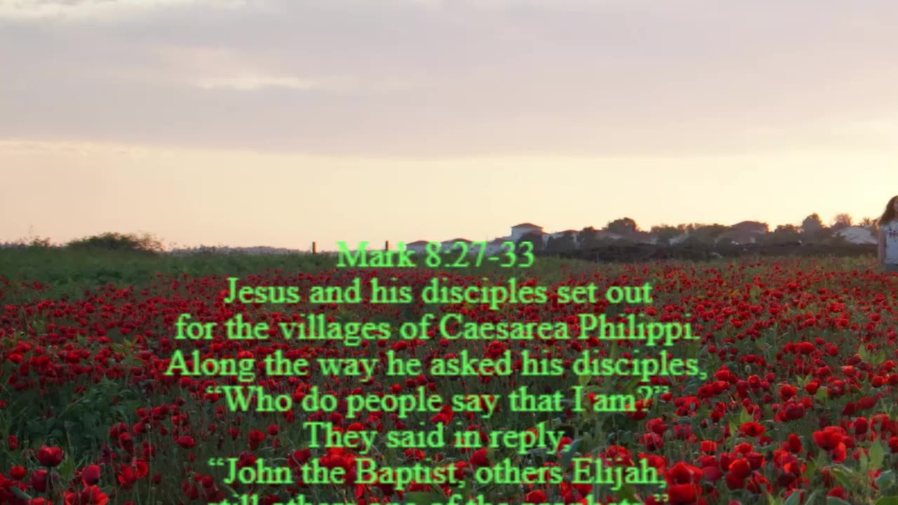 A reading from the Gospel according to Mark, 8:27-33