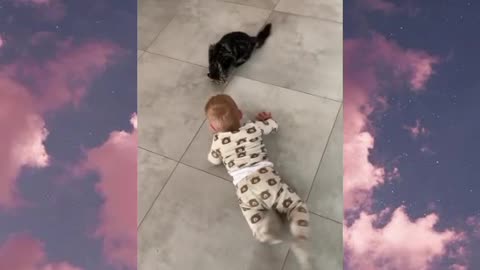 Hilarious Moment Between a Baby and a Cat – Who Will Win? 😂🐱👶