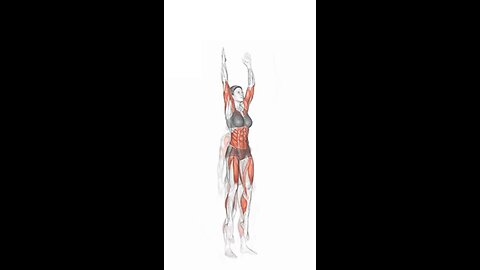 Burpees Exercise.