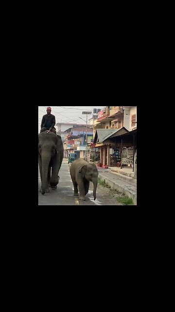 This Side Of Humanity