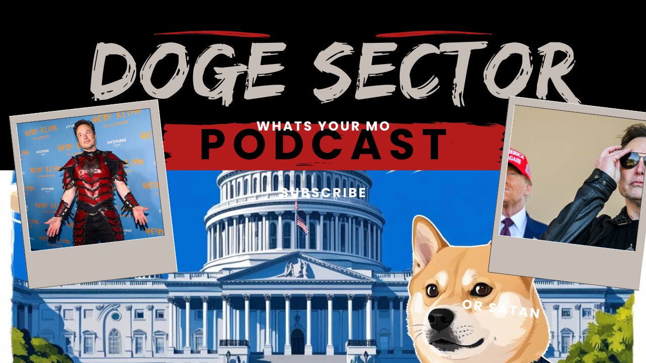 What is the Doge Sector?