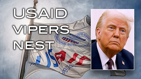 USAID Vipers Nest