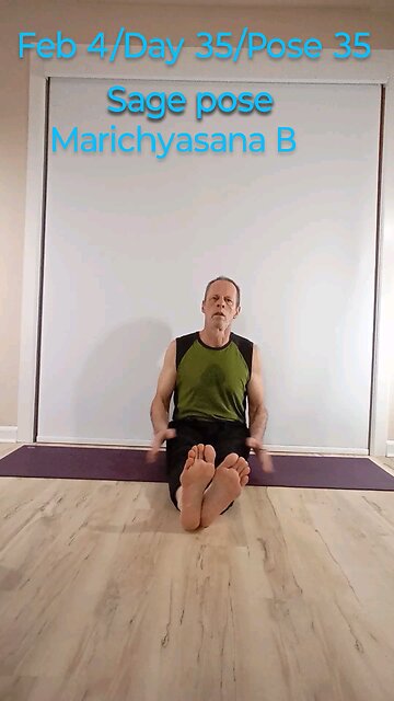 sage pose / Marichyasana B