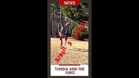#تونس_اليورو