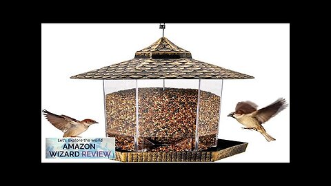 Twinkle Star Wild Bird Feeder Hanging for Garden Yard Outside Decoration Hexagon Review