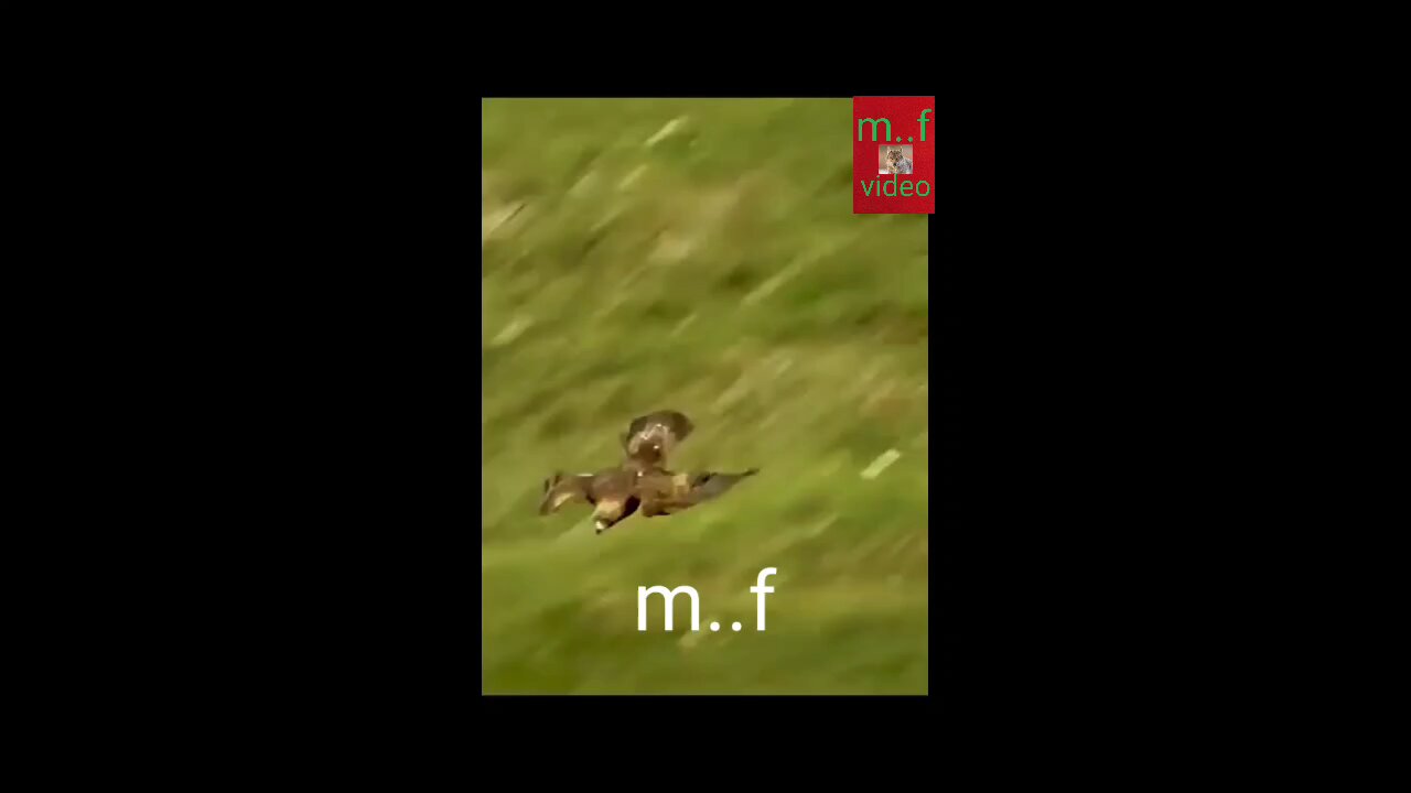like comment and share video