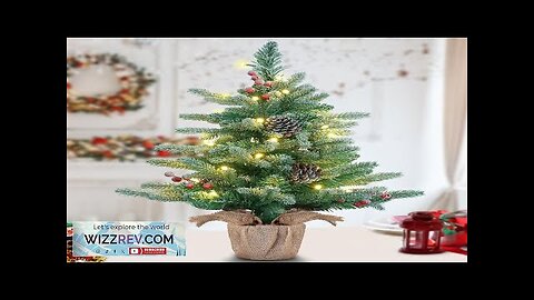 24” Tabletop Christmas Tree Battery Operated Prelit Small Xmas Tree Artificial Flocked Review