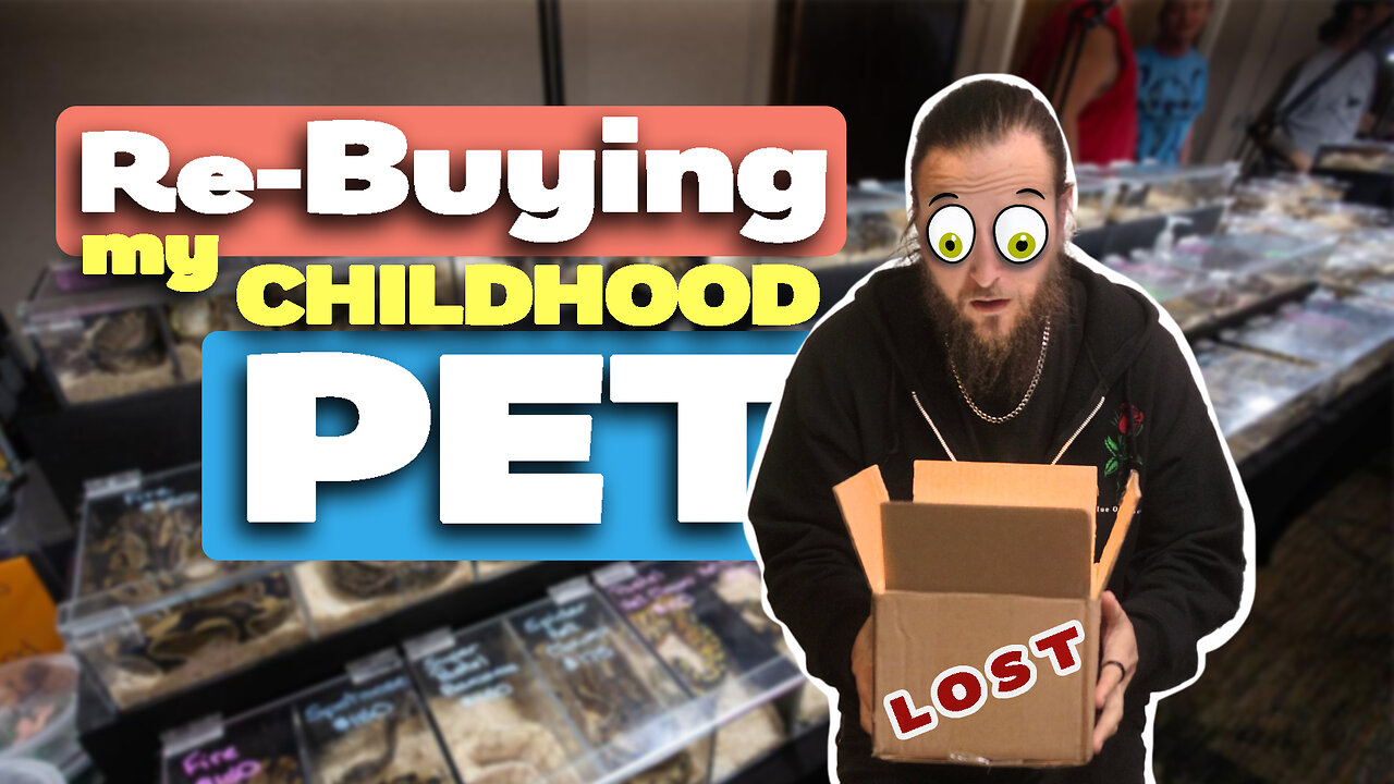 I'm Rebuying My Lost CHILDHOOD Pet!