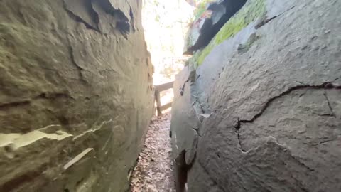 Ancient Monolith in SC or a Petrified Giant's Head?