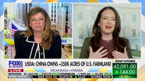 Sec Rollins on China buying American farmland: