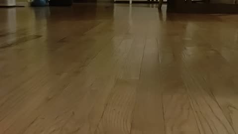 The clean Part 2